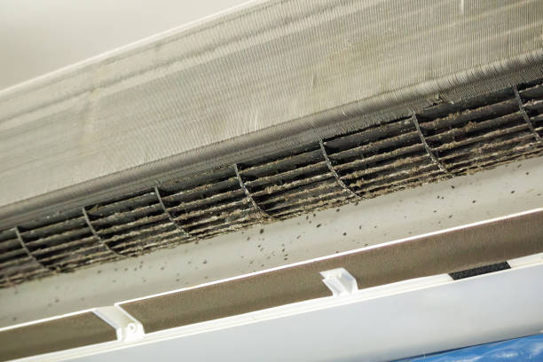 Best Ventilation Cleaning Services  in Ligh, NE